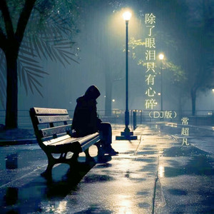 除了眼泪只有心碎 (DJBanan版)