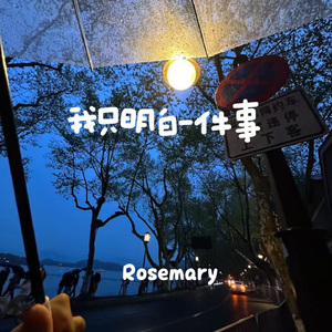 我只明白一件事