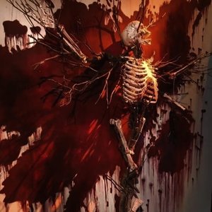 种果无果（翻自 乌野学长）