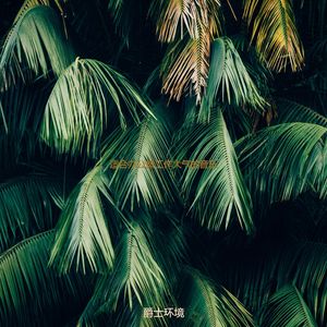 适合居家办公温柔的音乐