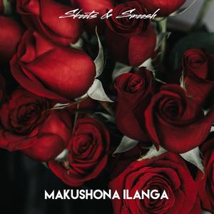 Makushona Ilanga (feat. Skoots)
