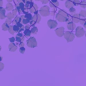 一尘不染温泉印象数