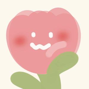 我不是你的宋冬野