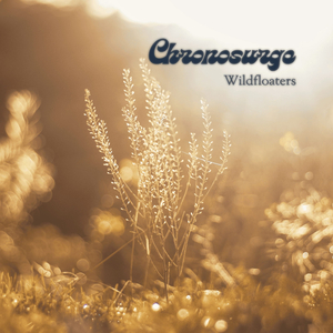 Chronosurge