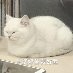 雨后人去楼也空