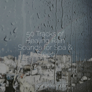 Concrete Lullaby in the Rain