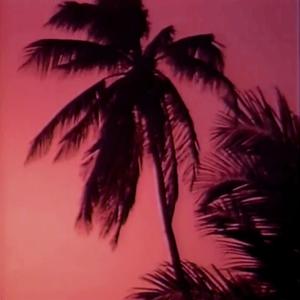 International Travel