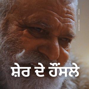 ਸ਼ੇਰ ਦੇ ਹੌਂਸਲੇ | Sher De Honsle | Villain Theme Song | Tribute to Yograj Singh | Punjabi Anthem