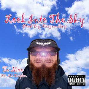 Look Into the Sky (feat. Mr.Daylee)
