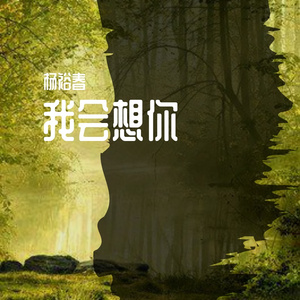 我会想你(435)