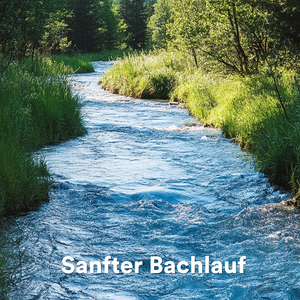 Sanfte Wassergeräusche zum Entspannen