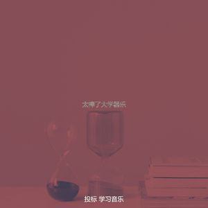 优美正在读书器乐