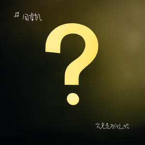 究竟是为什么呢