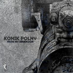 Perfectum 23 (konik polny remix)
