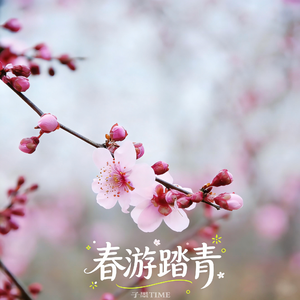 春游踏青BGM