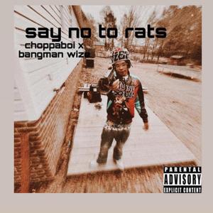 Say no to rats (feat. Bangmanwize)
