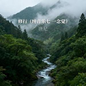 修行 (纯音乐七 一念觉)
