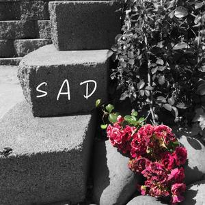 XXXTENTACION-Sad（Off One remix）