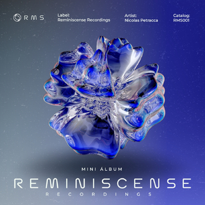 Reminiscense (Indie Break Mix)