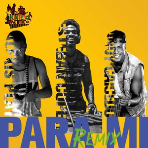 Para Mi (Remix)