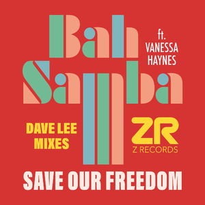Save Our Freedom (Dave Lee Let Freedom Reign Mix)