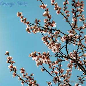 It's a nice day today