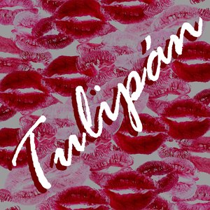 Tulipán