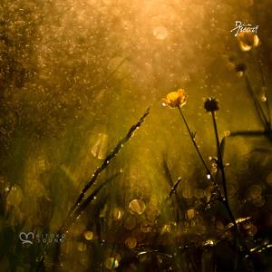 Tormenta (feat. Jazzy Rhodes)