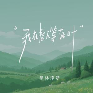 我在春天等落叶