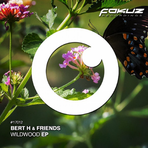 Frost (Original Mix)