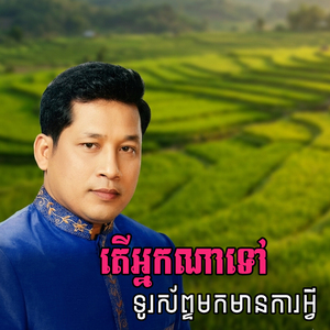 តើអ្នកណាទៅទូរសព្ទមកមានការអ្វី