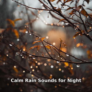 Calm Rain Outside My Room, Pt.6