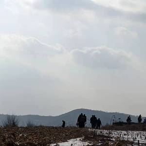 sunboy（阿卡贝拉）