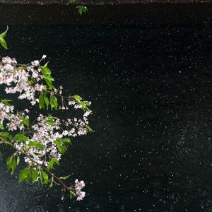 暗恋过 结局呢（抖音版）