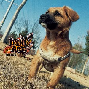 Little Chickadee Take me away