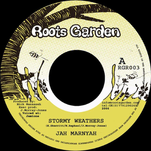 Stormy Weathers (Vocal)