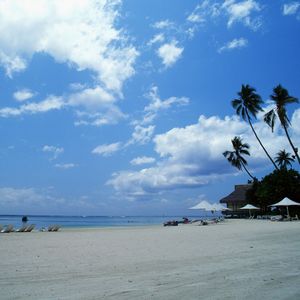 穿越时间的恋爱