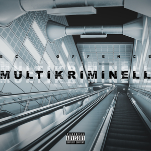 Multikriminell