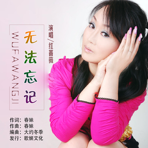 无法忘记（伴奏）