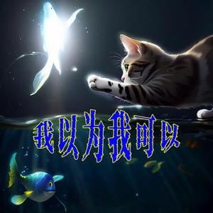 我以为我可以
