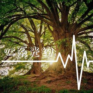心系光约