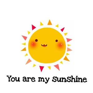 You Are The Sunshine Of My Life