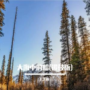 大海中的船(锣鼓版)