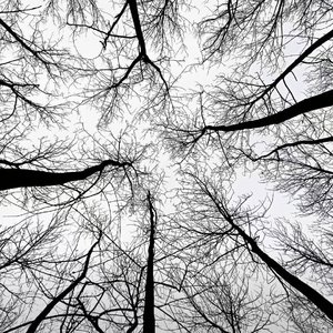 一個貝斯手最好的報復就是 讓貝斯的聲音蓋過鼓的聲音 蓋過吉他的聲音 和主唱的聲音