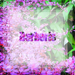 S.e.d (Original Mix)