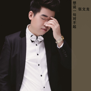 想说一句对不起