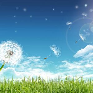 看得最远的地方