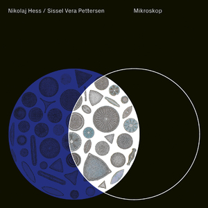 Mikroskop v11