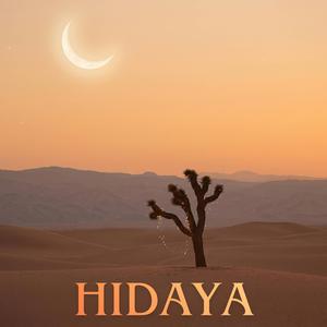 The light of Allah