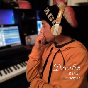 Desvelos